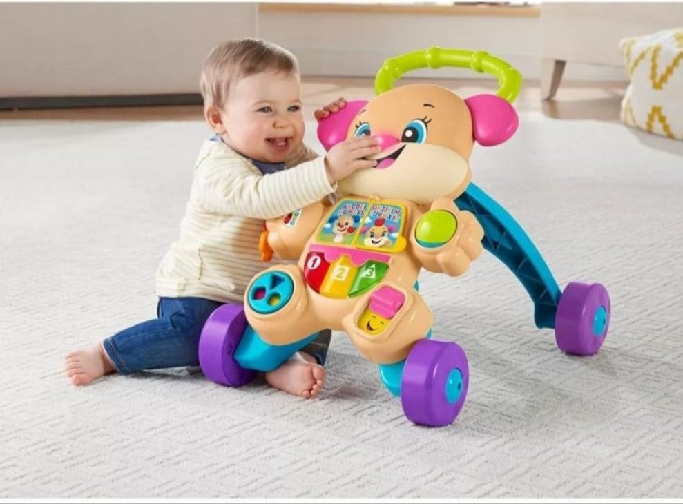Fisher-owo puppy Walker