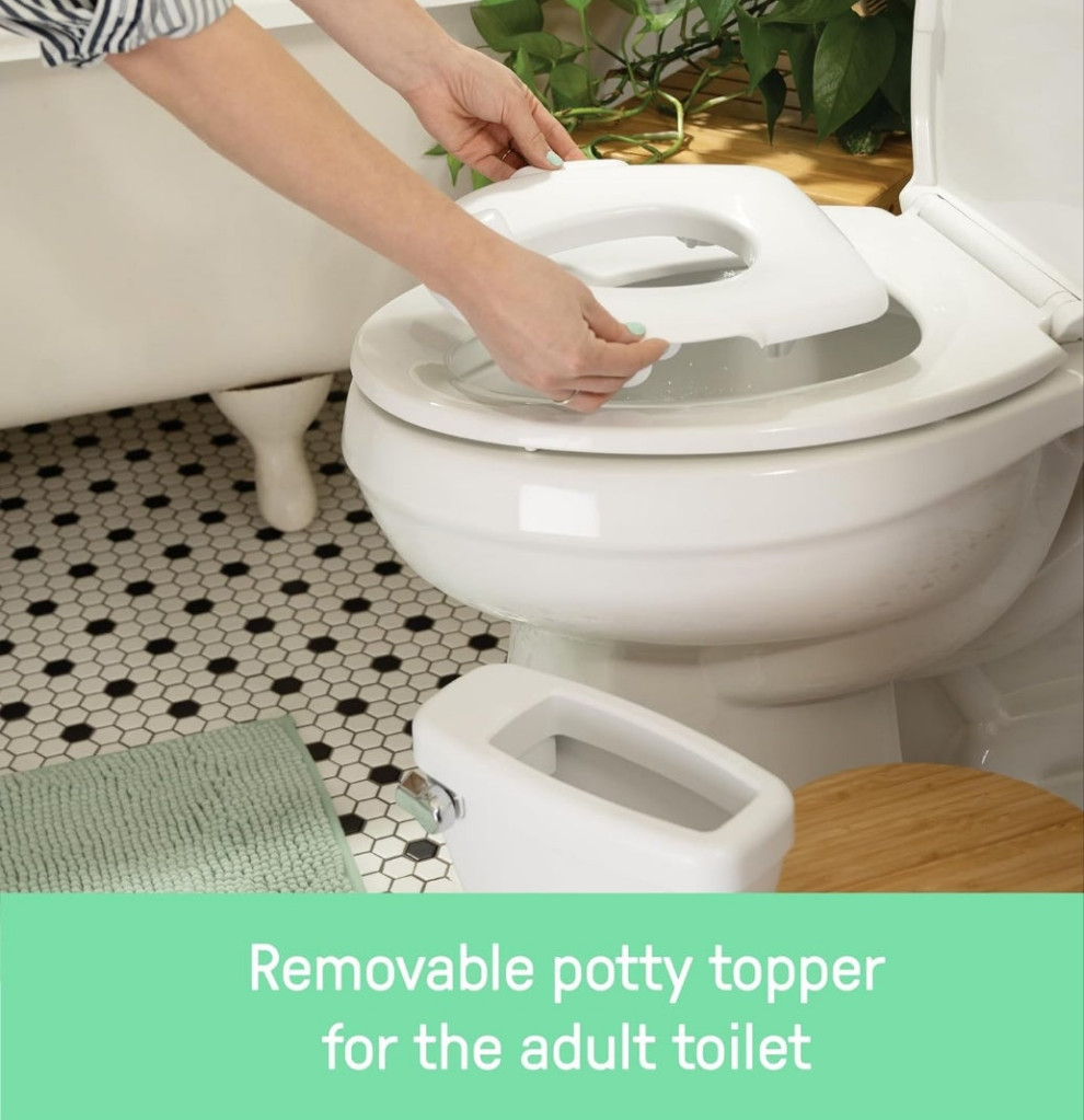 Summer nipa Ingenuity potty