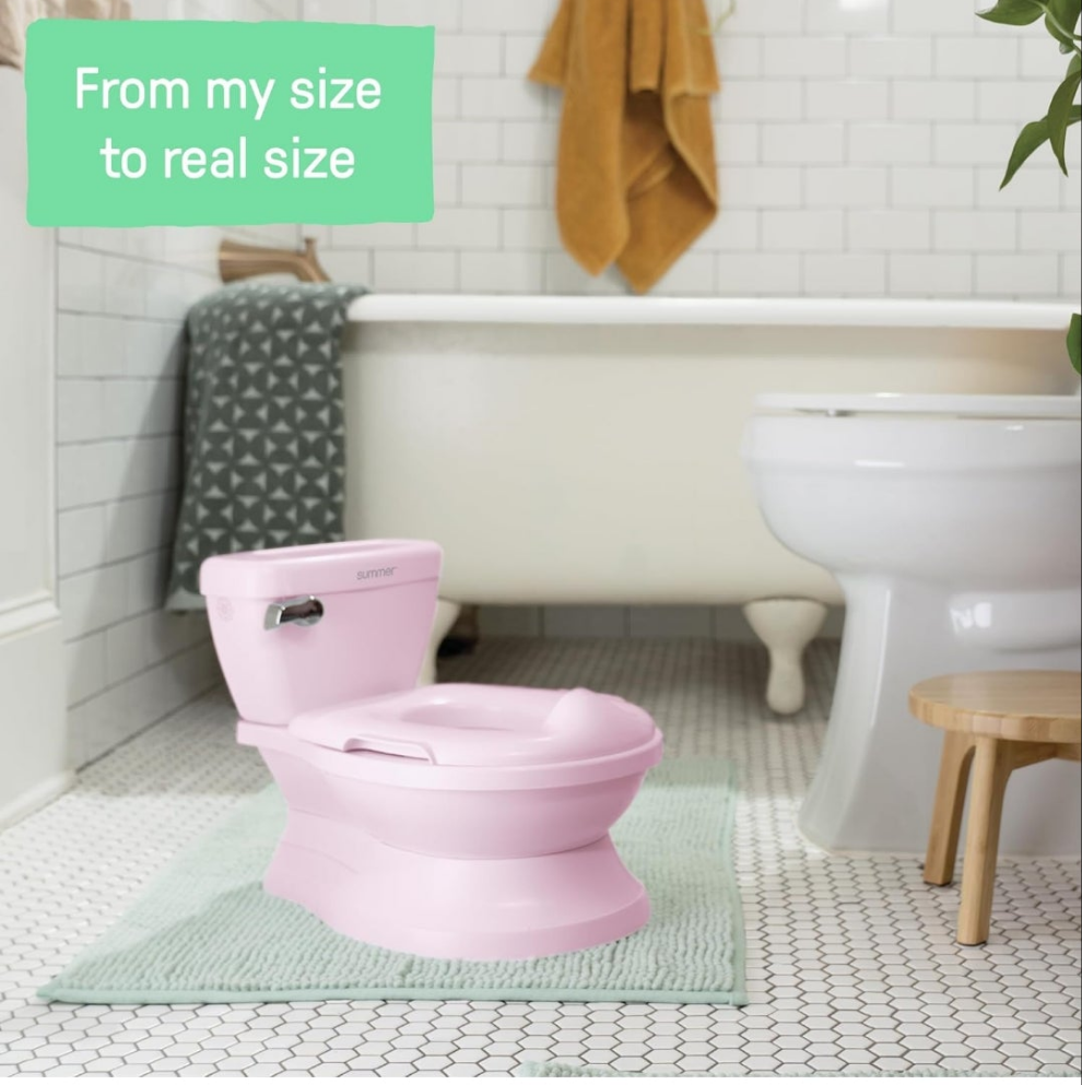 Summer nipa Ingenuity potty