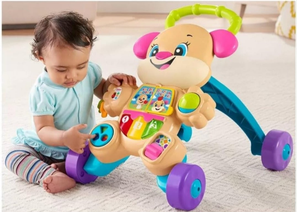 Fisher-owo puppy Walker