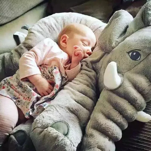 Erin cuddle edidan