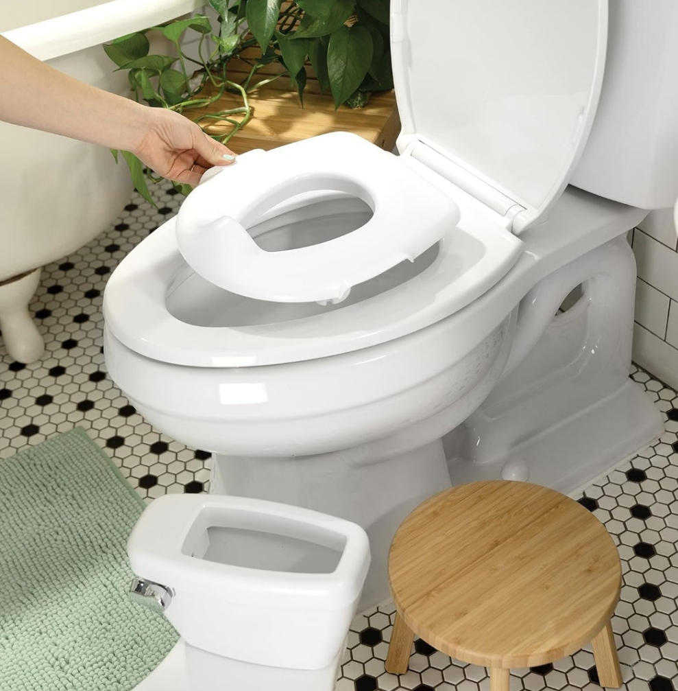 Summer nipa Ingenuity potty