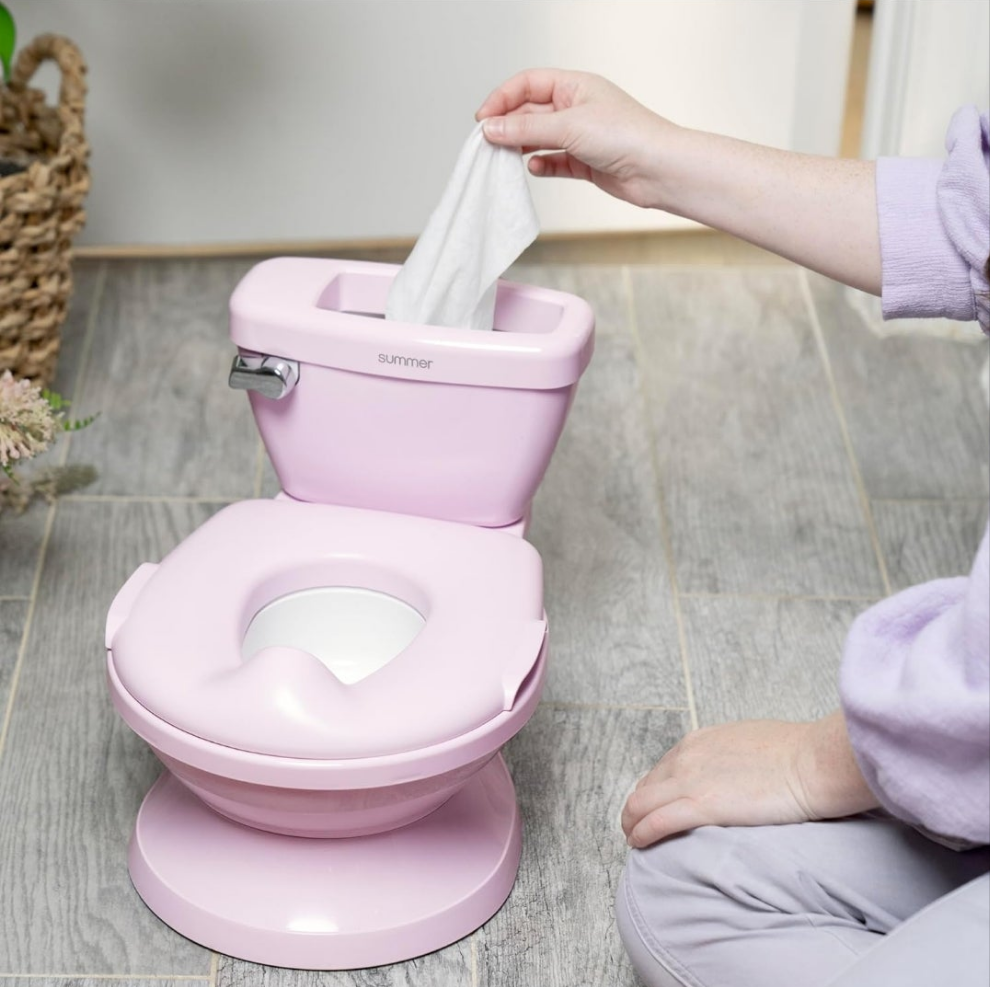 Summer nipa Ingenuity potty